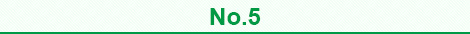 ランキング5位